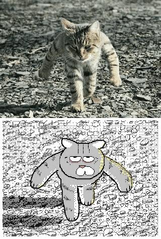 朋友圈九宫格喜感视频,开心到模糊的搞笑动图