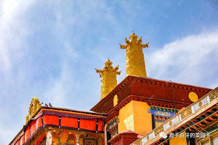 西藏之行布达拉宫,西行散记布达拉宫