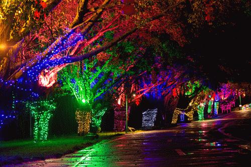 想拍“废片”都难！肇庆这些网红地也太好看了吧