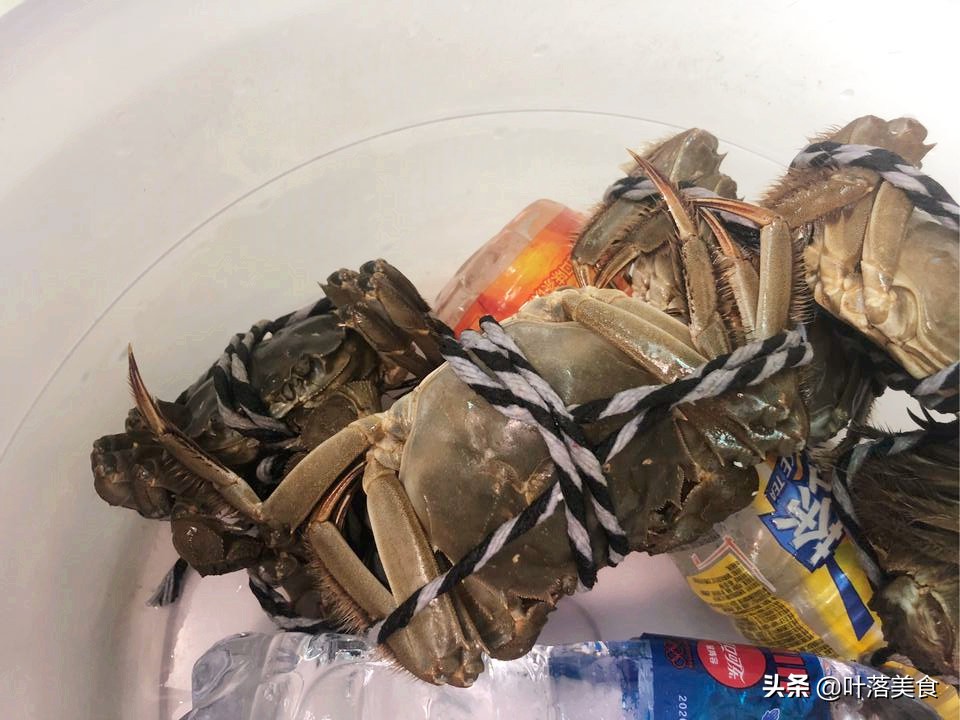 大闸蟹的正确吃法999块的大闸蟹,春季的第一只大闸蟹应该怎么吃