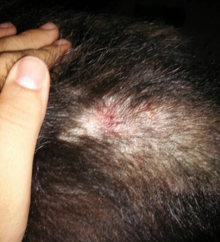 狗狗身上有皮肤病用什么药,狗狗皮肤大面积泛红怎么治