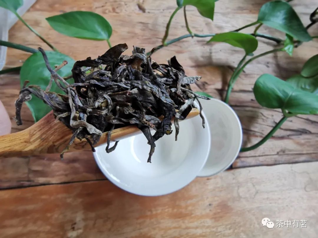 普洱茶冲泡的9个步骤和方法图解,普洱茶的冲泡方法正宗