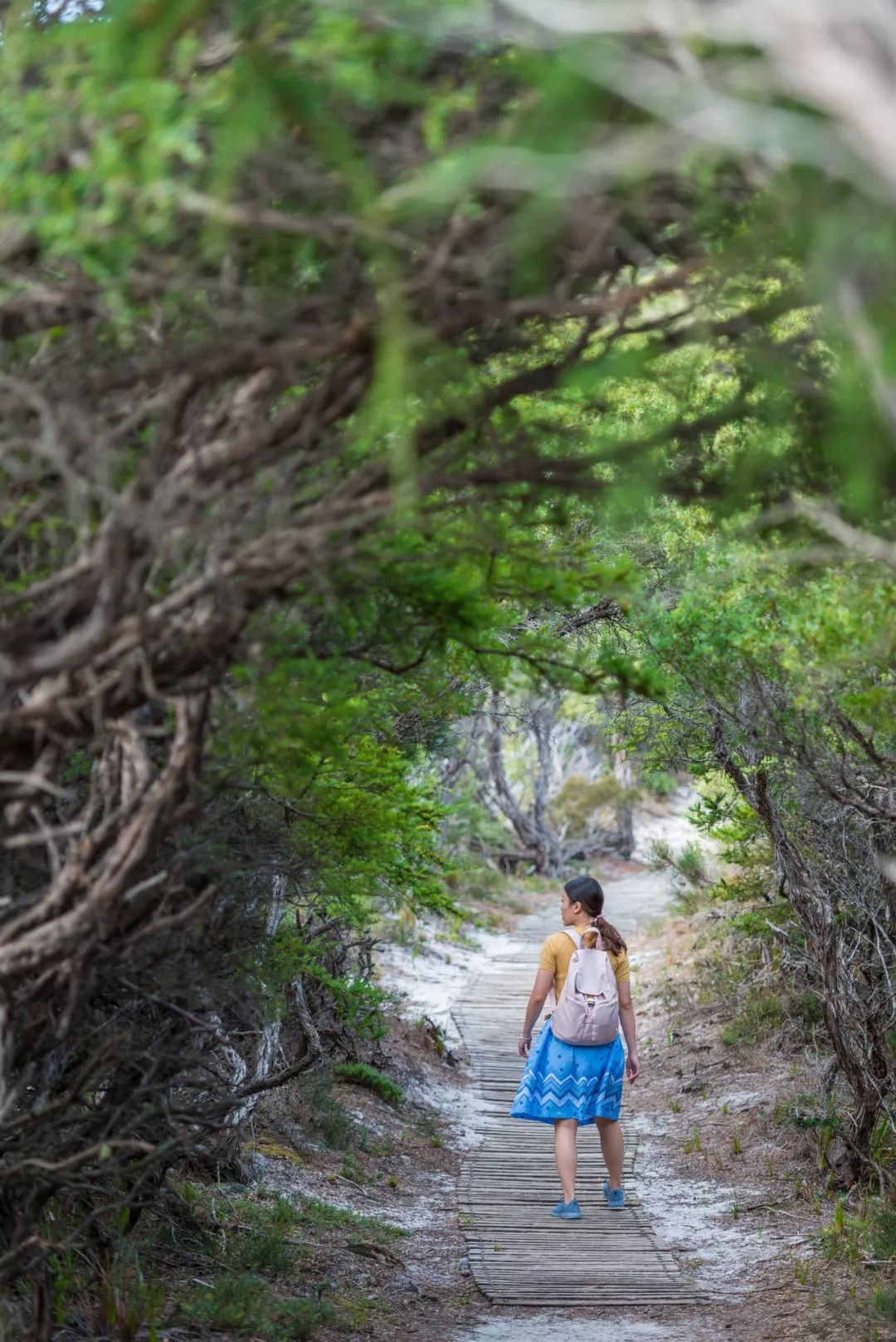 悉尼到阿德莱德自驾游,澳大利亚阿德莱德悉尼距离