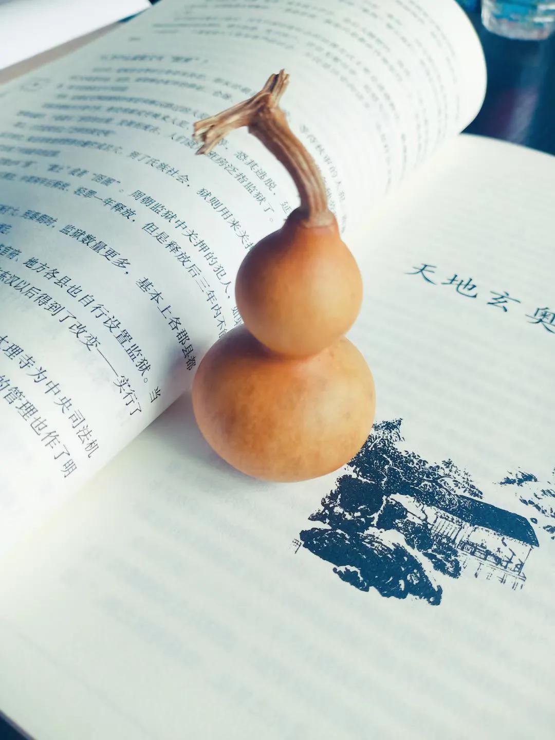 葫芦虽小藏天地，伴我云云万里身