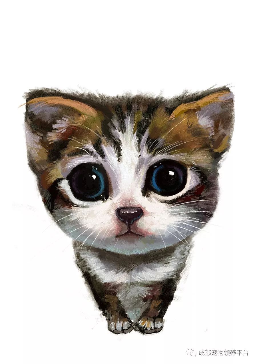 谁说土猫无名猫？快来围观古代猫谱，你家有没有镇宅神兽！