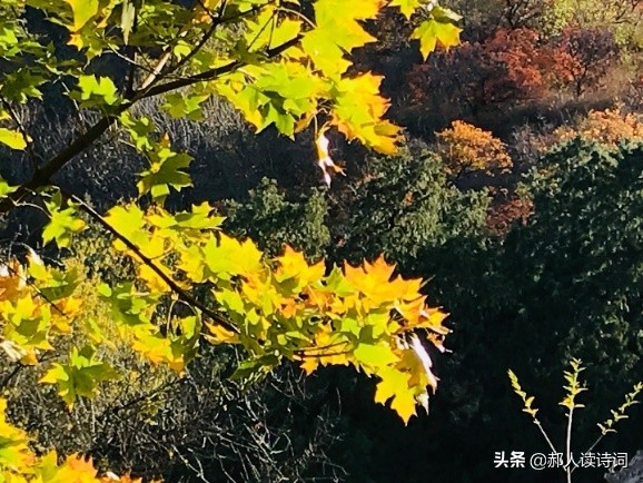 人类与自然和谐共生的诗,人类自然和谐共生古诗