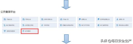 最新特种设备作业证查询,全国特种设备作业证查询网站
