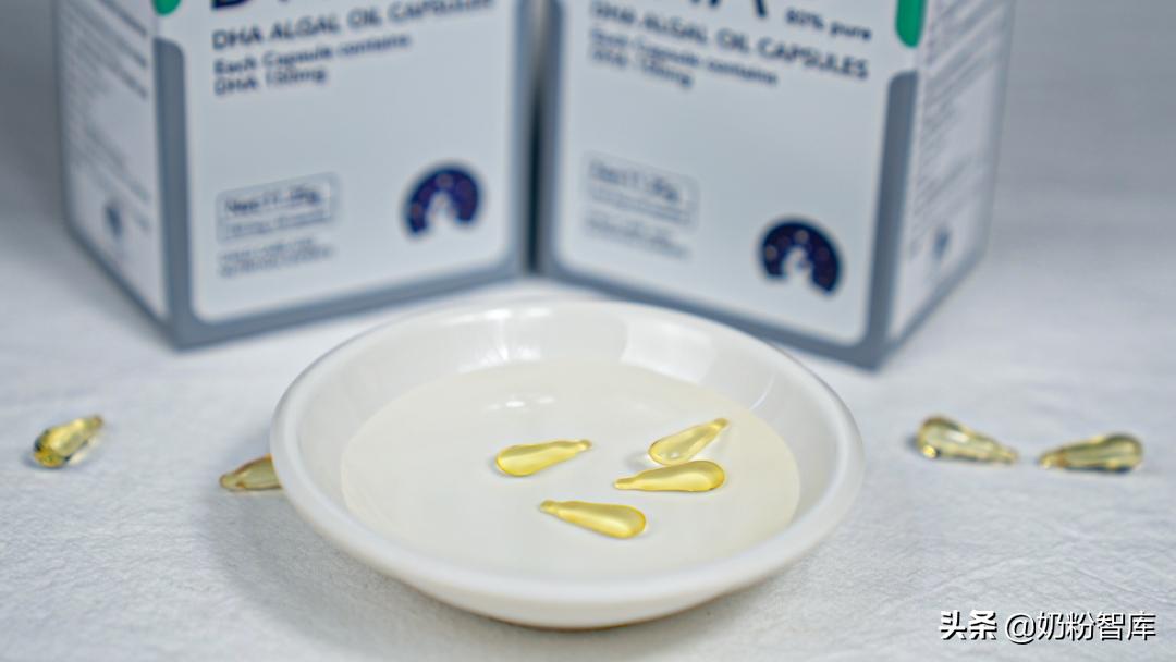 测评营养品dha,dha评测排行表
