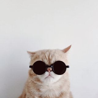 哪款iphone拍出来的照片更好看,苹果年度最佳照片