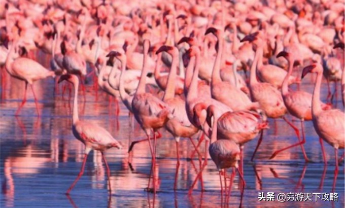 坎昆游记加勒比海,加勒比海坎昆旅游攻略