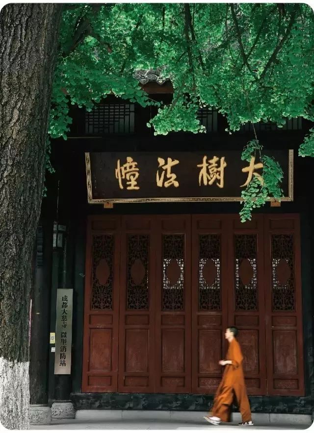 成都旅游远近攻略推荐理由,成都蓉城之秋旅游攻略