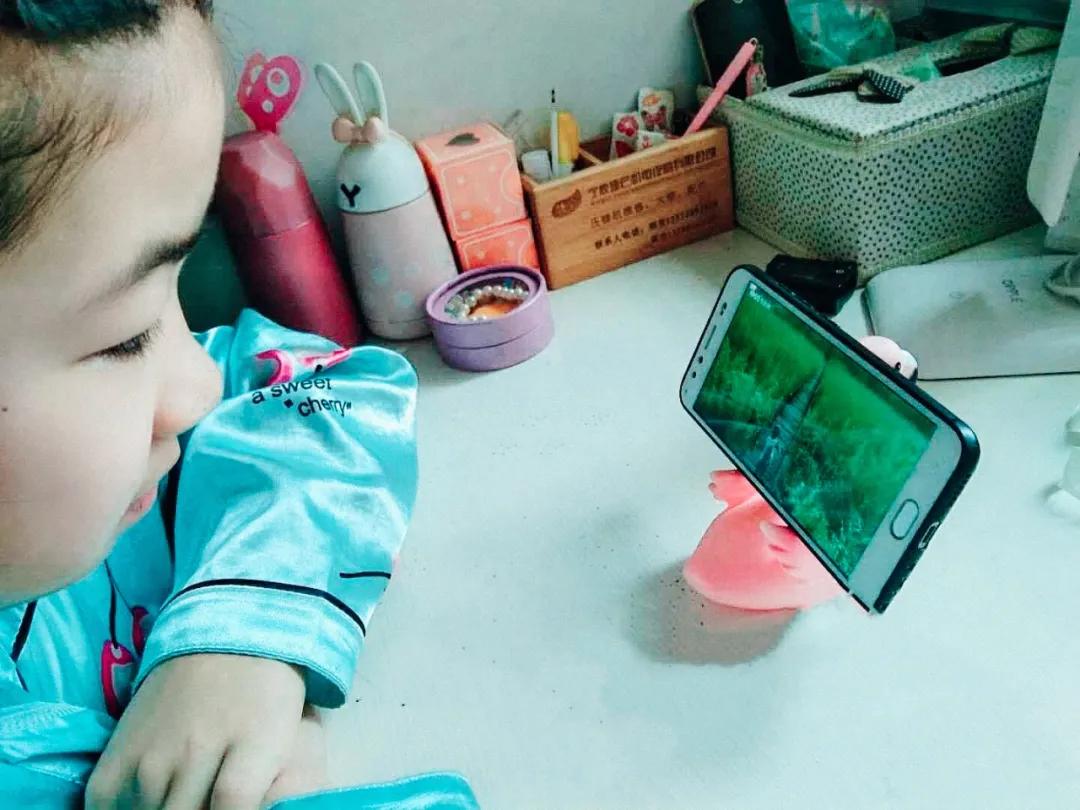 永不能忘记的“国家记忆”——至诚学校爱国主义系列活动