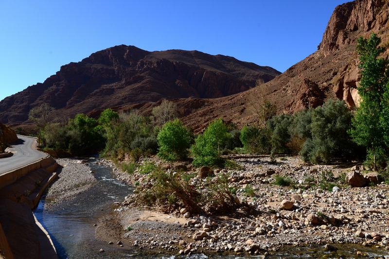 撒哈拉沙尘暴照片,撒哈拉沙漠沙尘暴实拍