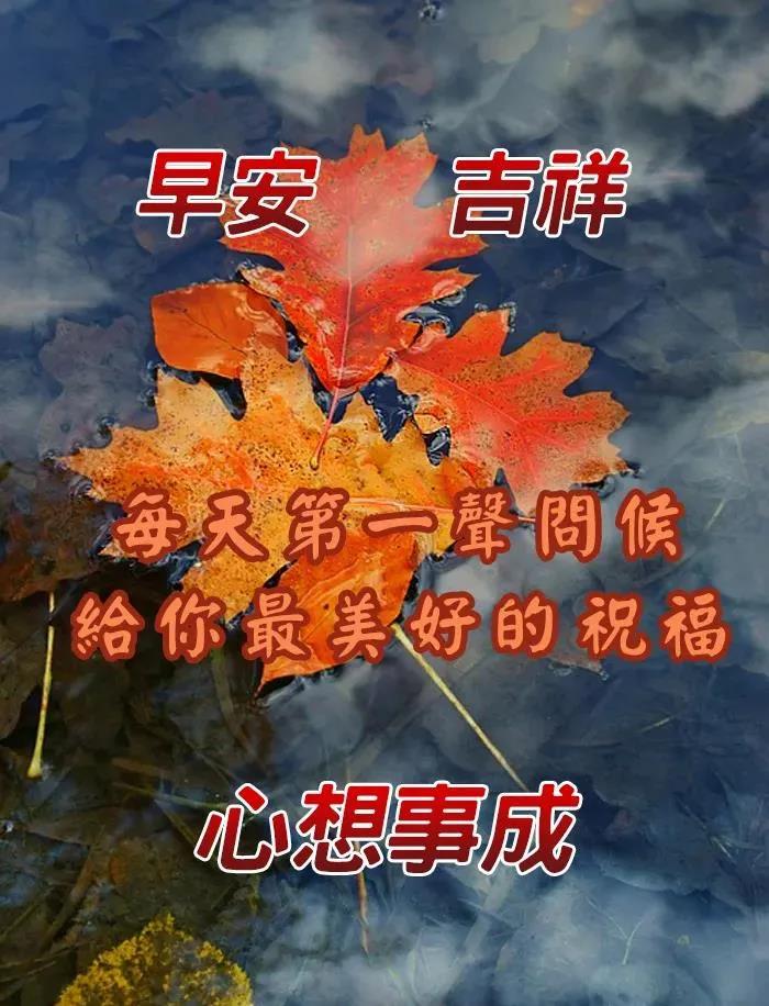 周一早安问候表情包,周末早上好表情包带字问候