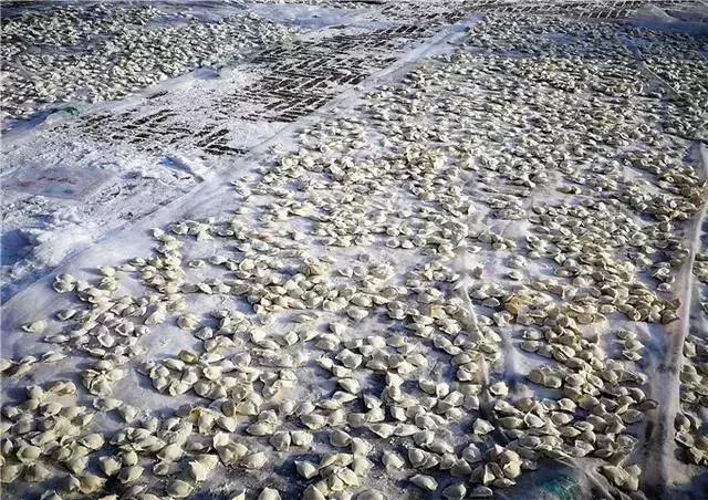 东北必备年货,东北的神秘年货