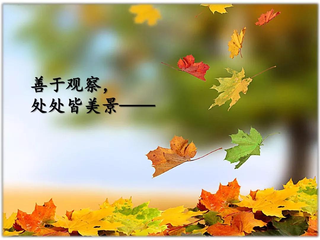 小学部编版三年级上册语文5课,三年级上册语文第5课水泥道朗读