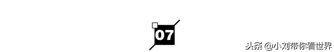 十大网红养生食品,2020十大网红食物