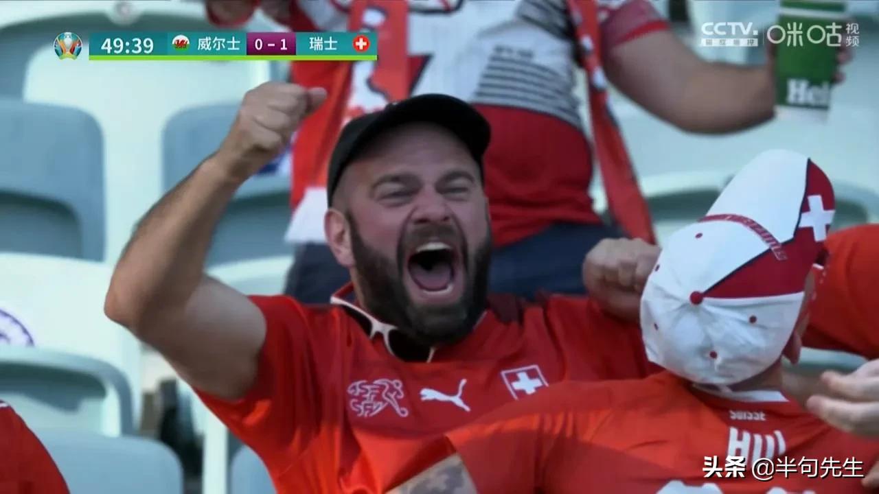 足球的魅力与遗憾,足球的世界里应该有足球精神