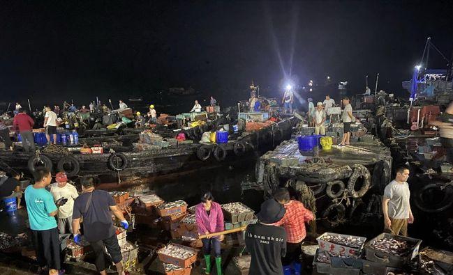 鲍鱼养殖致富经,人工养殖大鲍鱼