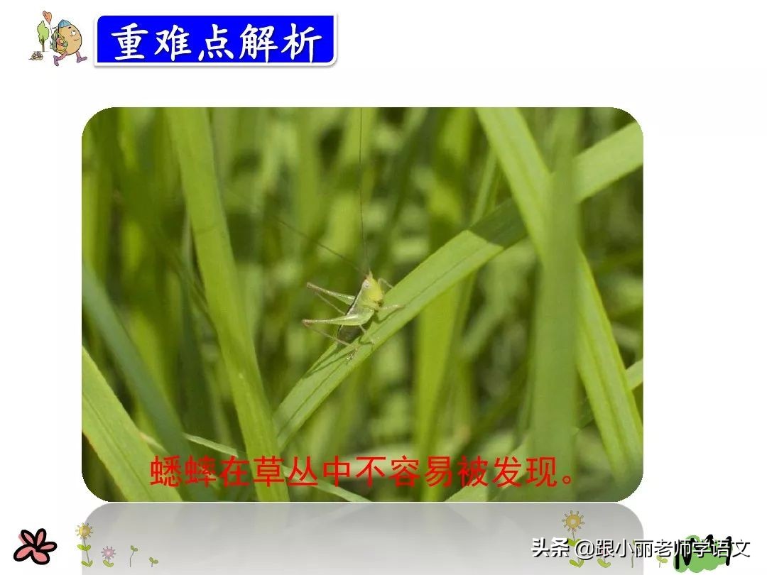 三年级在牛肚子里旅行的中心思想,三上语文在牛肚子里旅行课文讲解