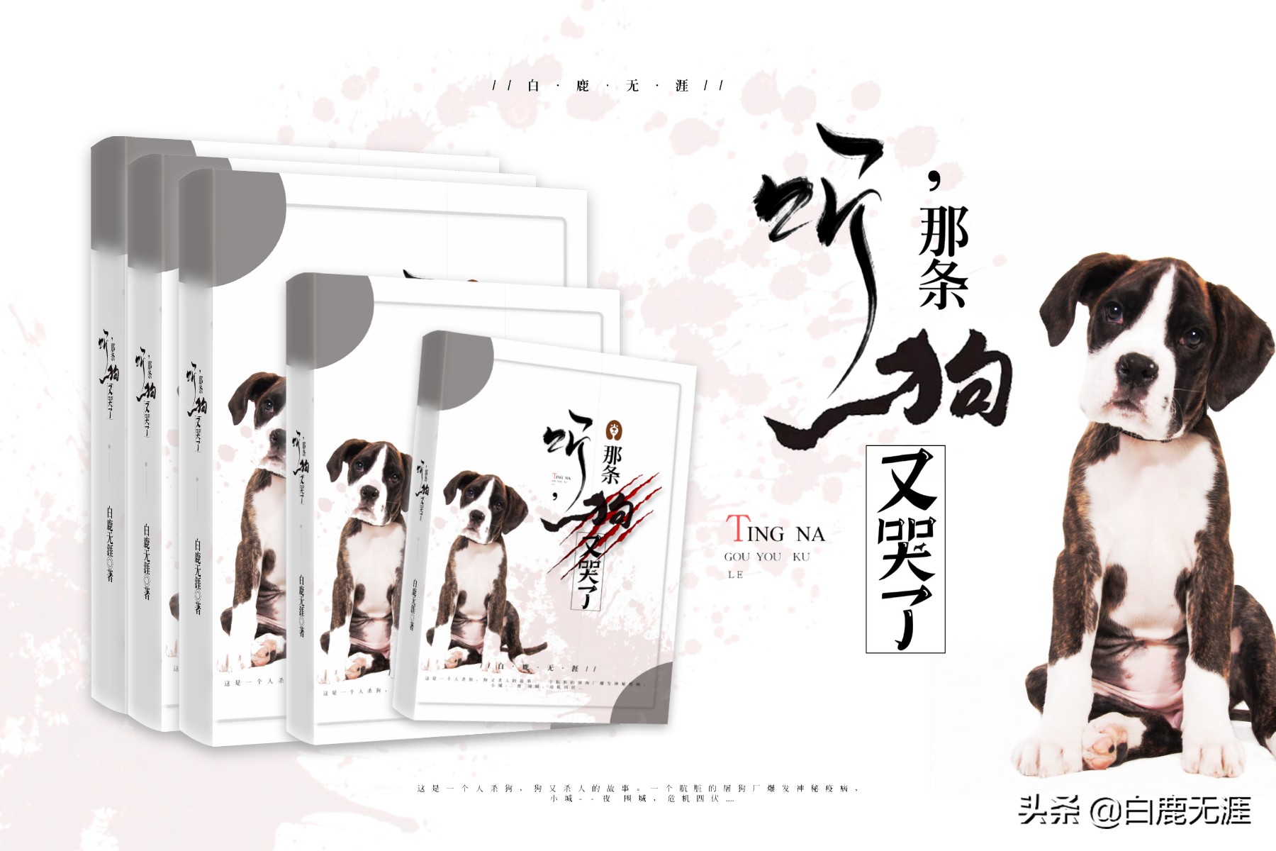 古言捉妖捉鬼灵异小说,蒲松龄捉妖记结局怎么样