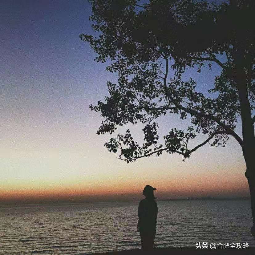 合肥有哪些好玩的地方值得一去,合肥最值得旅游的地方