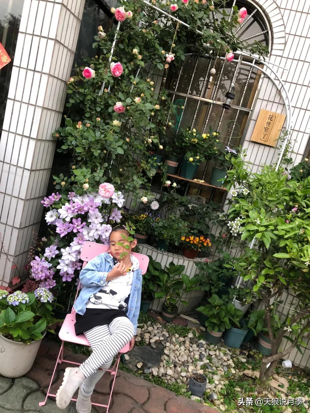 花友家的春花都开爆爆爆了，快来云赏花！（上）