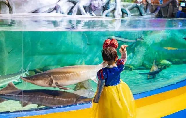 昆明亲子乐园游玩攻略,昆明周边游童话世界亲子乐园