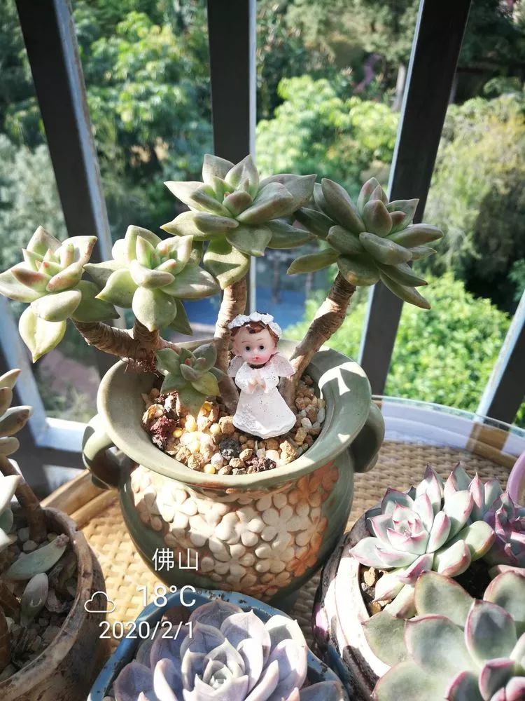 一杯清茶一道暖阳,一杯清茶温暖的时光