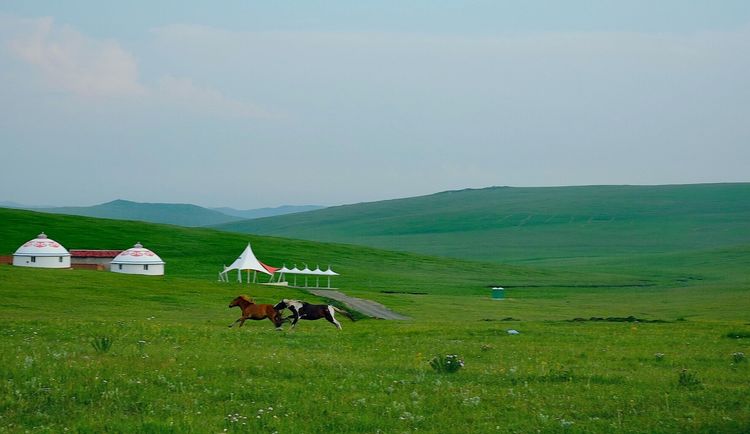 四子王旗——故乡的云，真的好美