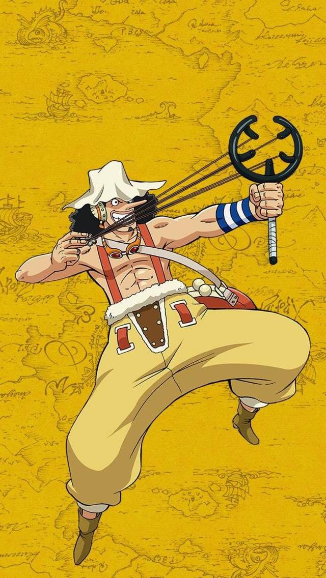 海贼王各个人物的代表,盘点海贼王动漫中的角色