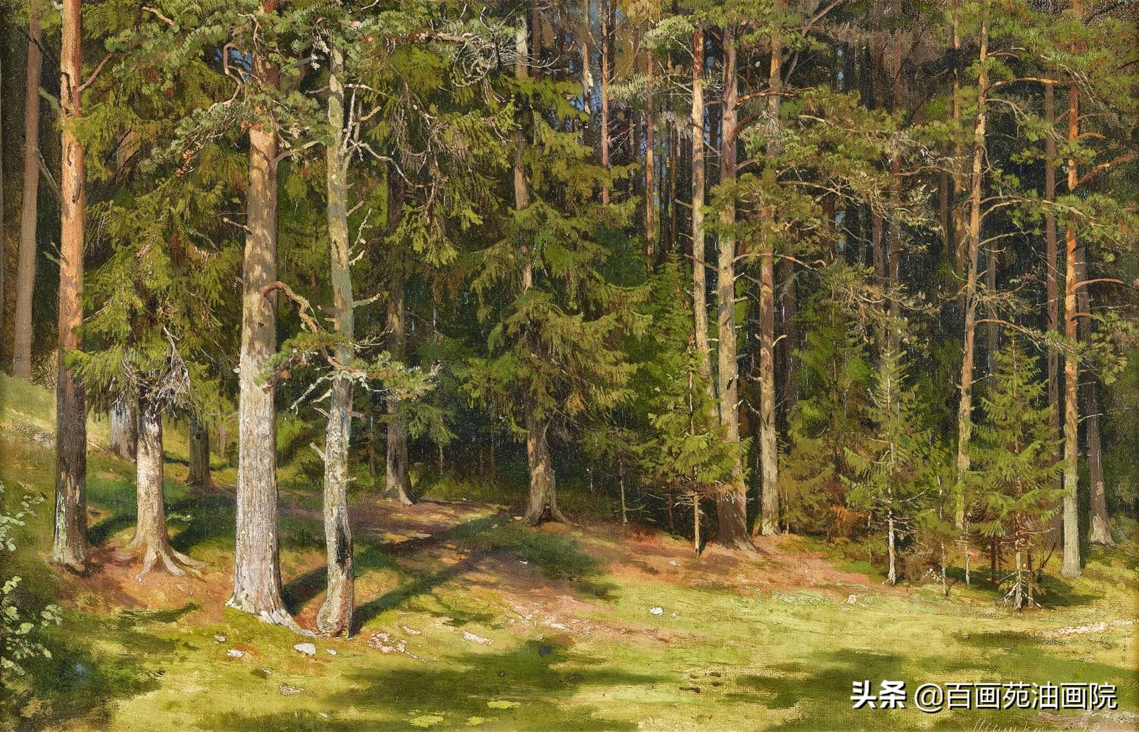 简单油画初学者画树,油画画树叶丛的技巧