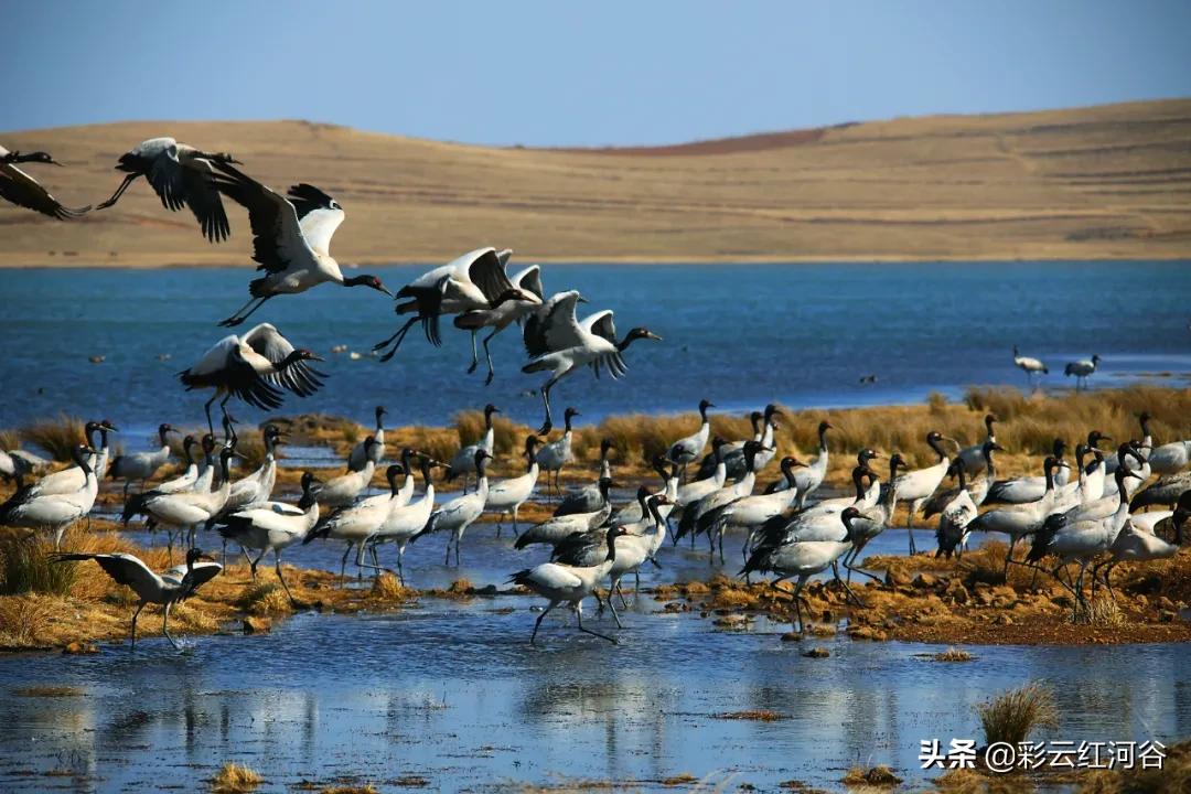 中国云南哪里好看,云南的云彩为什么好看