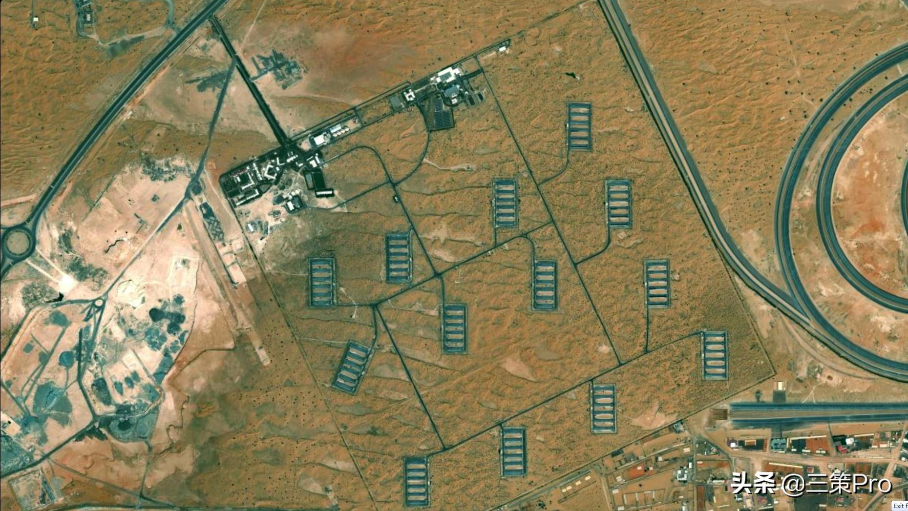 沙漠玫瑰阿拉伯视频,沙漠玫瑰在阿联酋