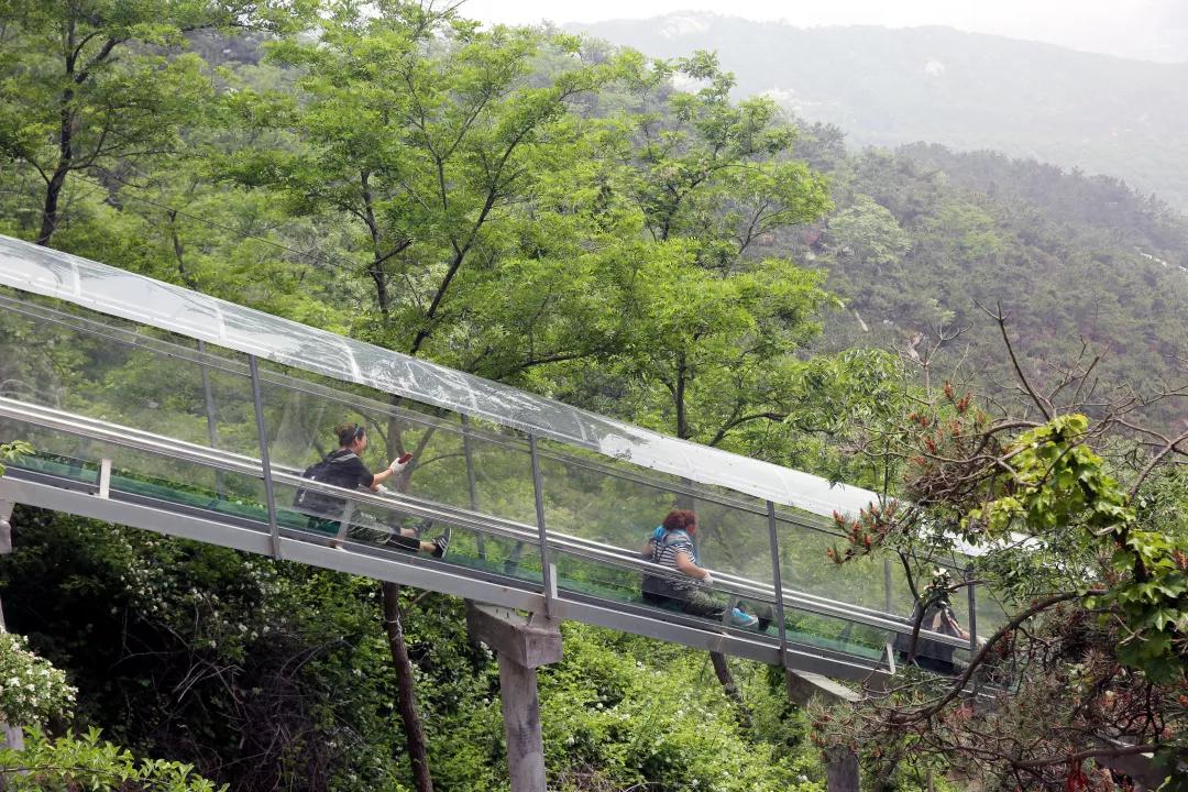 翔海集团：一日份乳山美景奉上，等你来赏