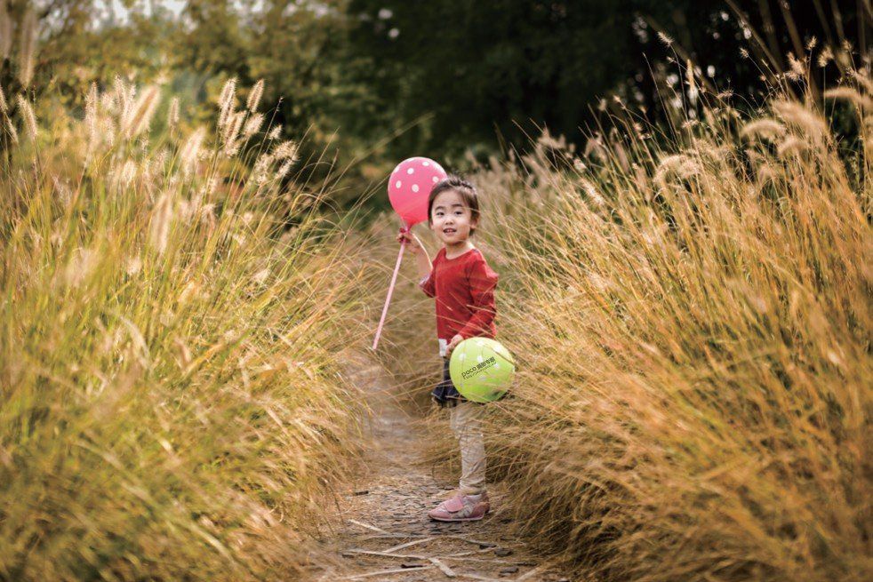 结合摄影知识谈如何拍好一张照片,如何拍出一张优美的照片摄影思路