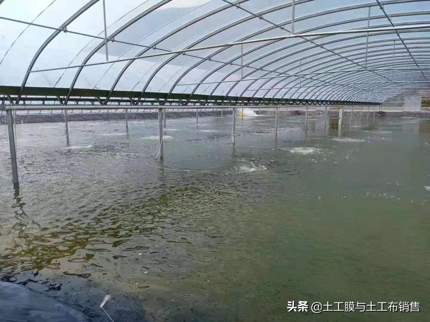 生态农业养殖价格表最新,绿色渔业养殖费用