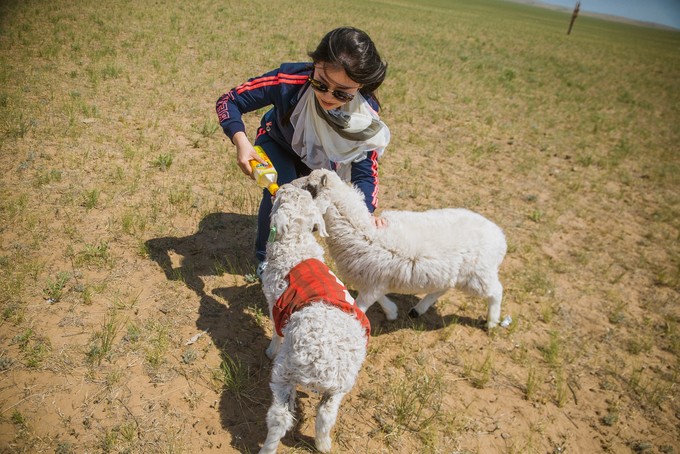 七月去呼伦贝尔需要带什么装备,去呼伦贝尔玩如何避坑