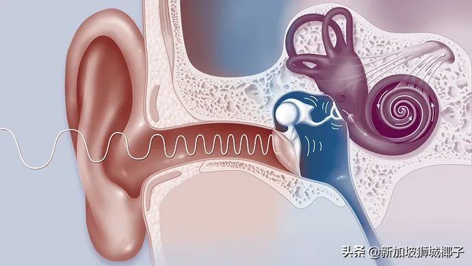 新冠后遗症呼吸听到声音,新冠后遗症听到声音就刺耳心慌