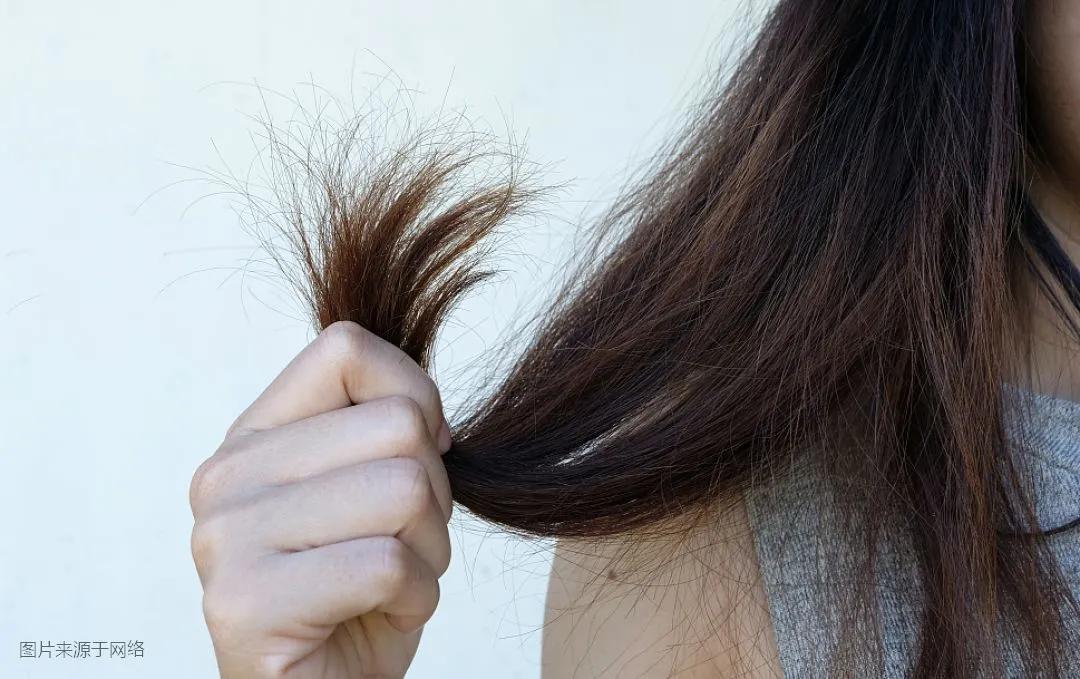 常见梳头误区让头发掉得越多,每天梳头头发会断很多怎么回事