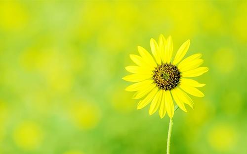 一个人成熟的最佳表现就是知世故,一个为人处事圆滑八面玲珑的人