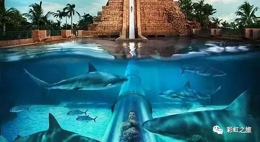 超详细迪拜旅游攻略完整版,迪拜旅游攻略和费用