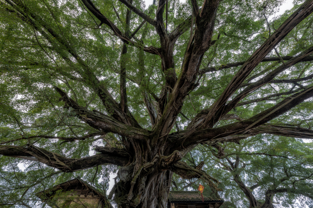 南靖景区有哪些好玩的,南靖风景好的地方推荐