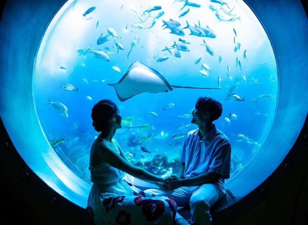 上九天揽月，下五洋捉鳖。看二孩老父亲如何带全家打卡亚特兰蒂斯