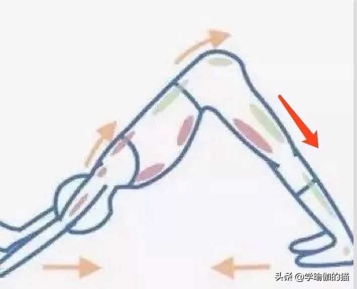 月经期可以练习盆底肌吗,女性月经期可以训练吗