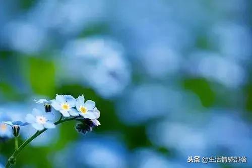 适合个性签名的简短句子,适合做个性签名的句子独特有风格