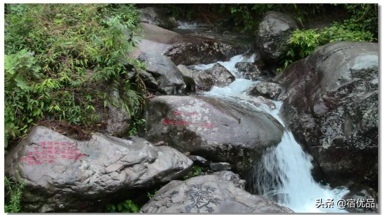 安吉董岭避暑农家乐,安吉董岭农家乐哪家看山景最佳