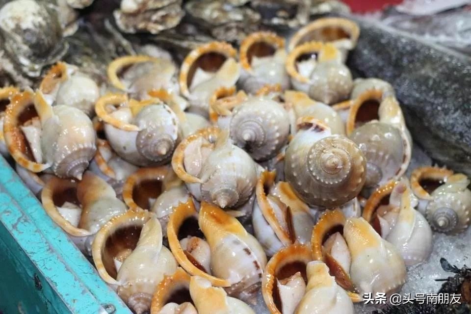 越南旅游的海岛,越南小众海岛