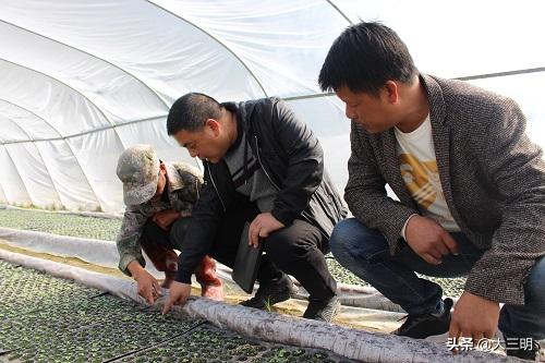 从军营绿到国网绿——一身戎装，一生军魂！致敬三明供电的退役军人