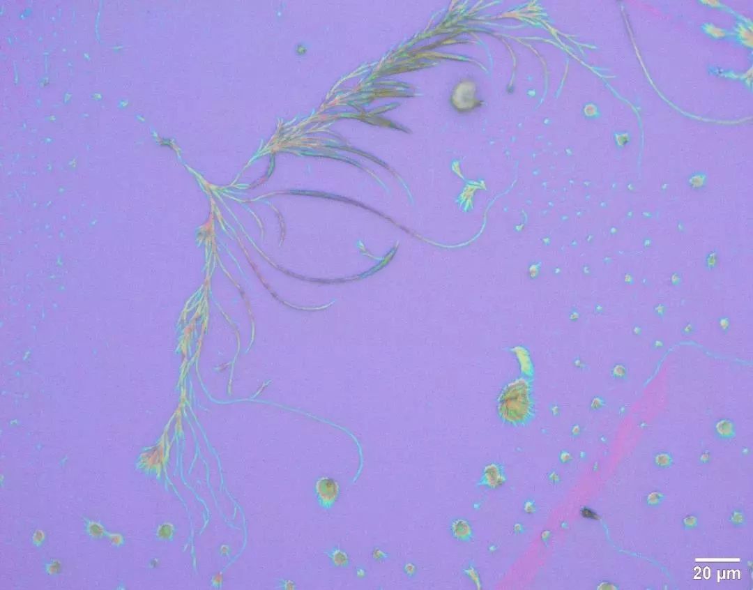 绉戠爺澹佺焊,绉戠爺浜虹殑鏂板勾澹佺焊